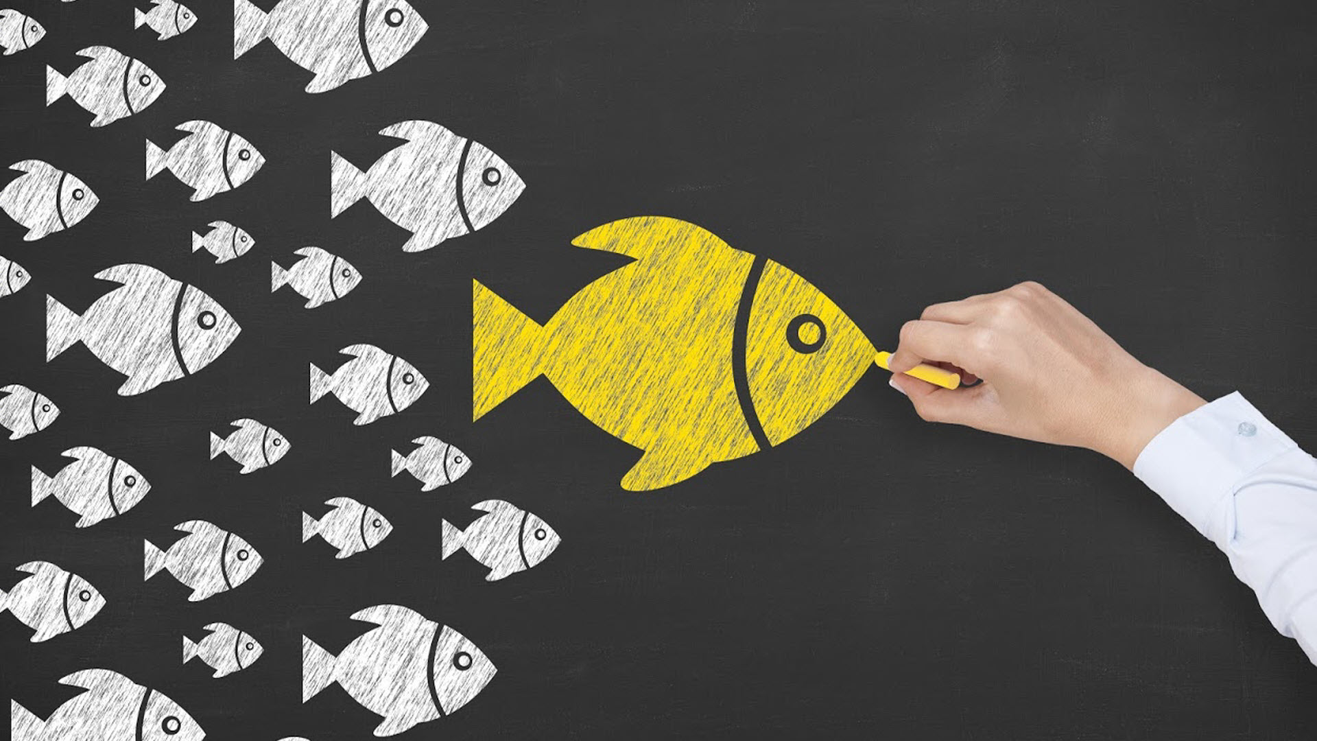 social influencer-bigfish social influencer-bigfish